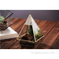 พืชแก้วแขวนรูปทรงขนาดใหญ่พิเศษ Terrarium Geometric